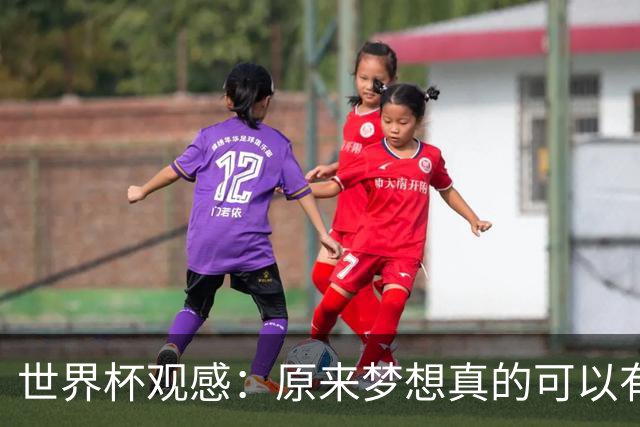 世界杯观感：原来梦想真的可以有，只是国足无力实现